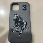 Polo Santa Barbara for iPhone