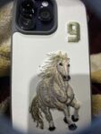 Polo Santa Barbara for iPhone